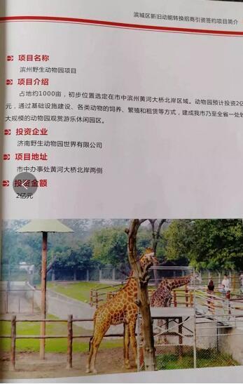 厲害了我的大濱州，15個(gè)招商引資項(xiàng)目集中簽約！
